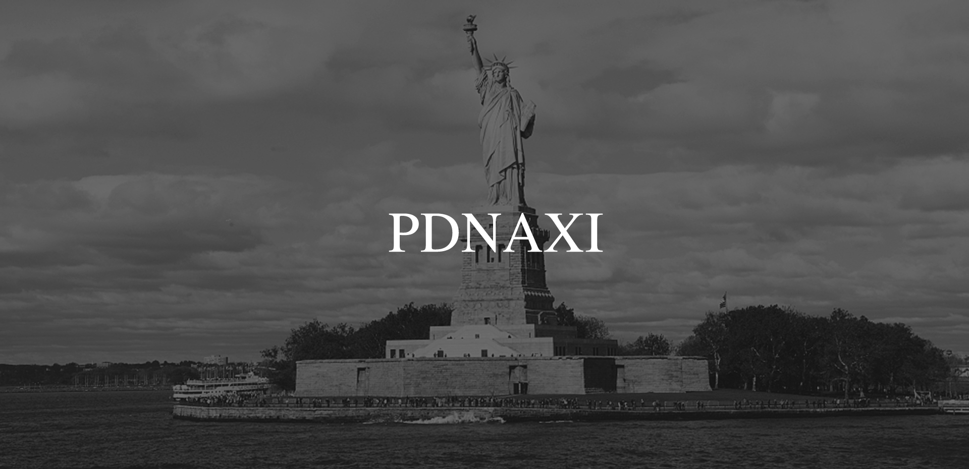 PDNAXI.jpg